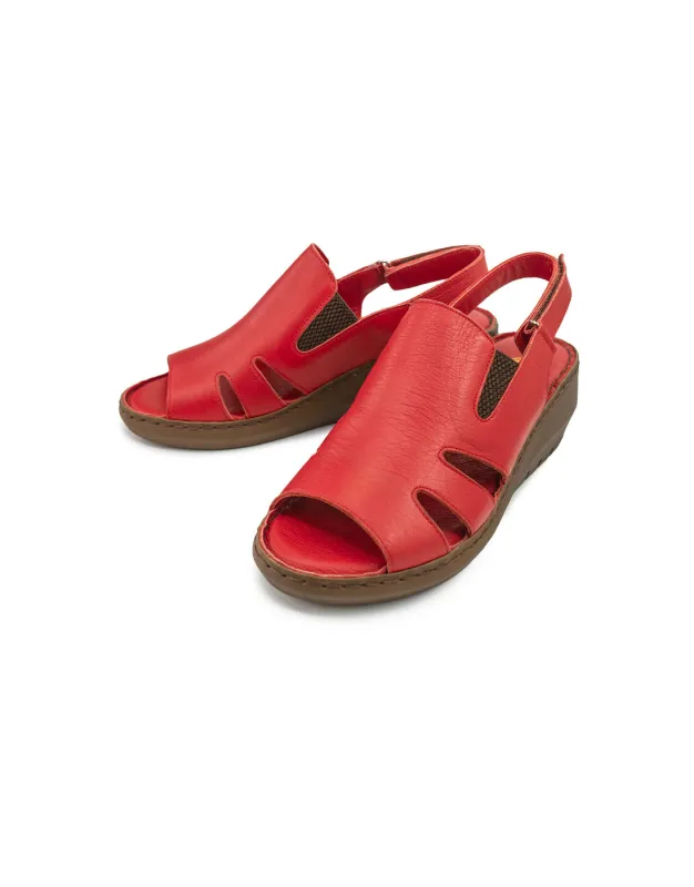 BFL 24-2055 W RED