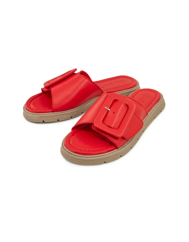 BFL 24-25101 W RED