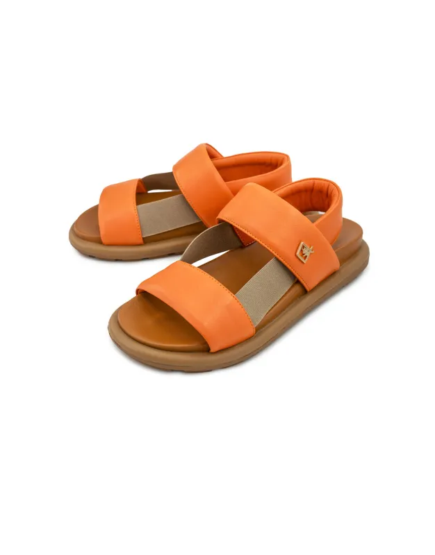 BFL 24-35803 W ORANGE