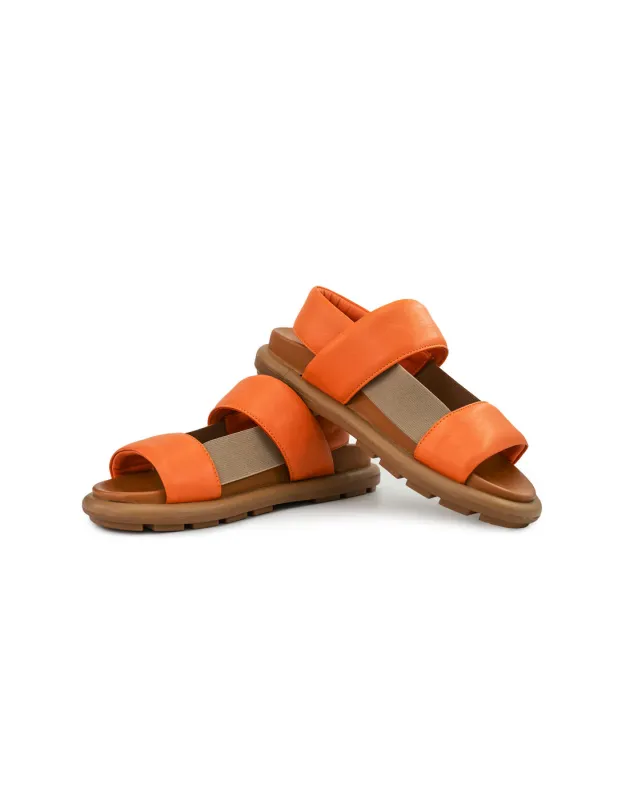 BFL 24-35803 W ORANGE