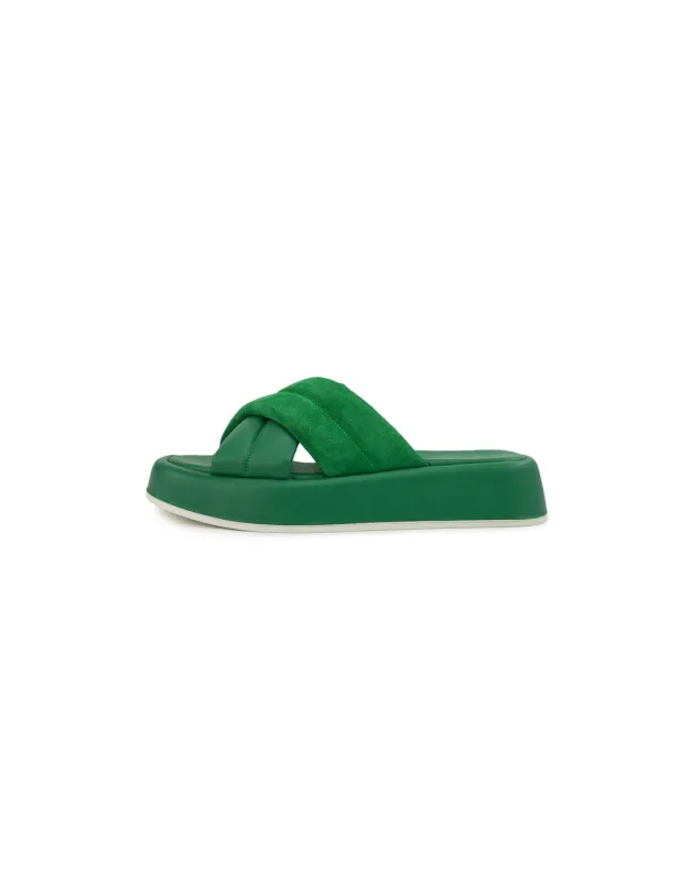 BFL 24-26003 W GREEN