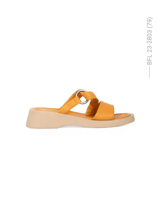 BFL 23-2803 W ORANGE