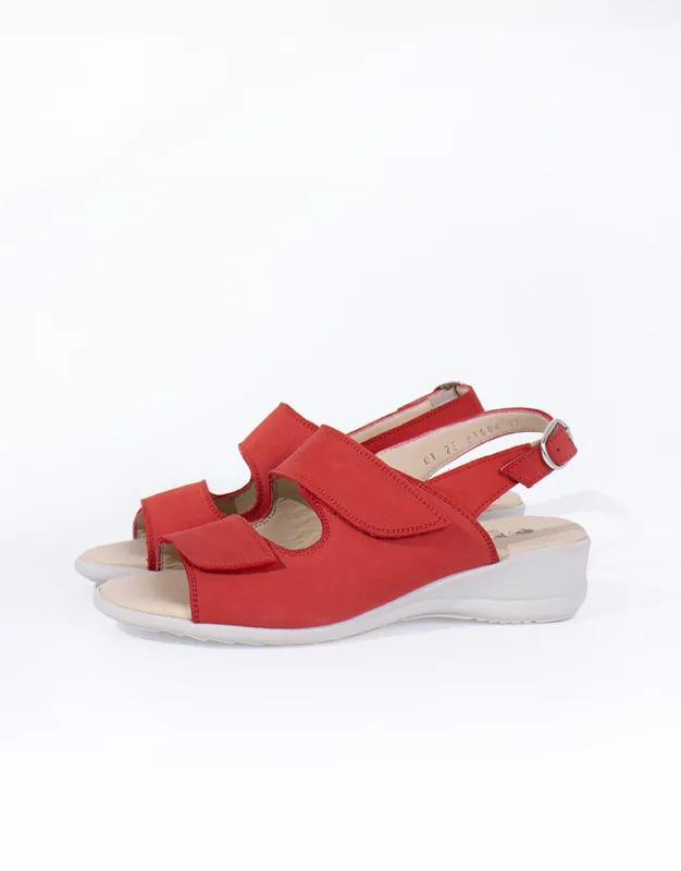 BFL 23-5389 W RED