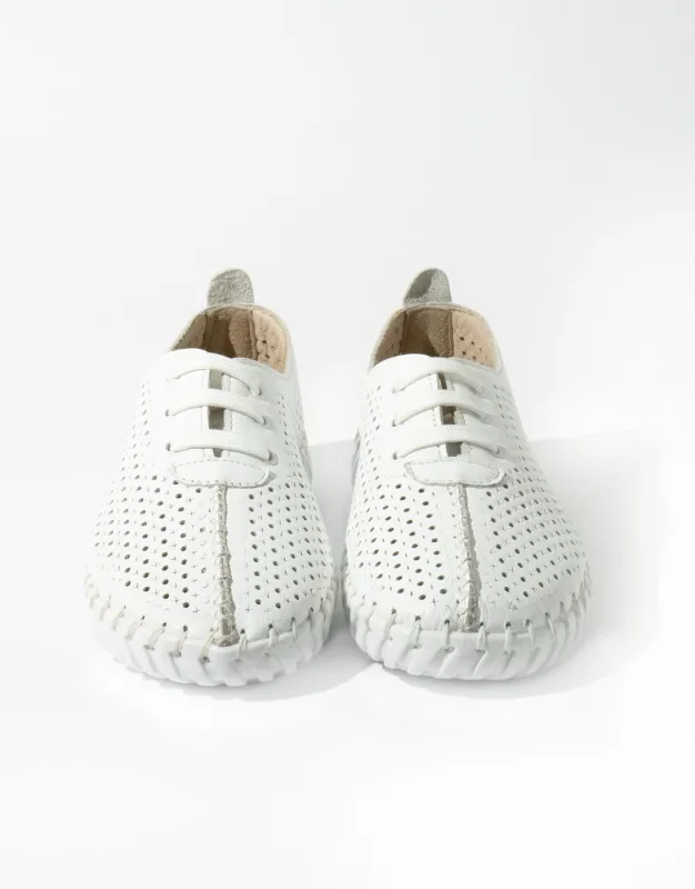 BFL 23-301 W WHITE