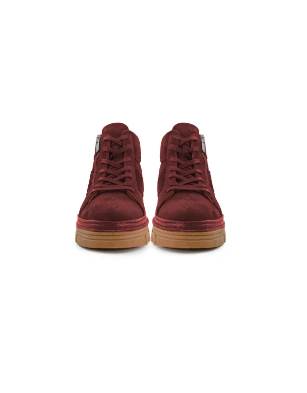 BFL VT02 W BORDO