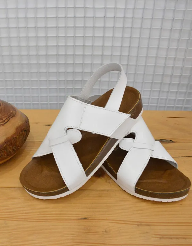 BFL 22-41055 K