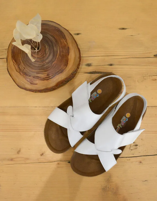 BFL 22-41055 K