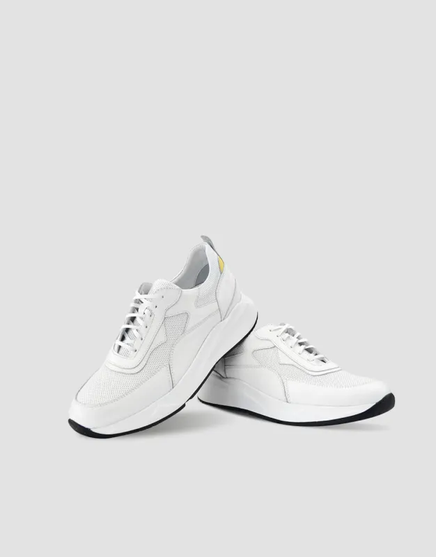 BFL 22-205003 M