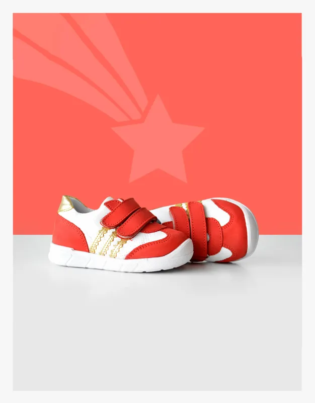 BFL 21-2061-1 K