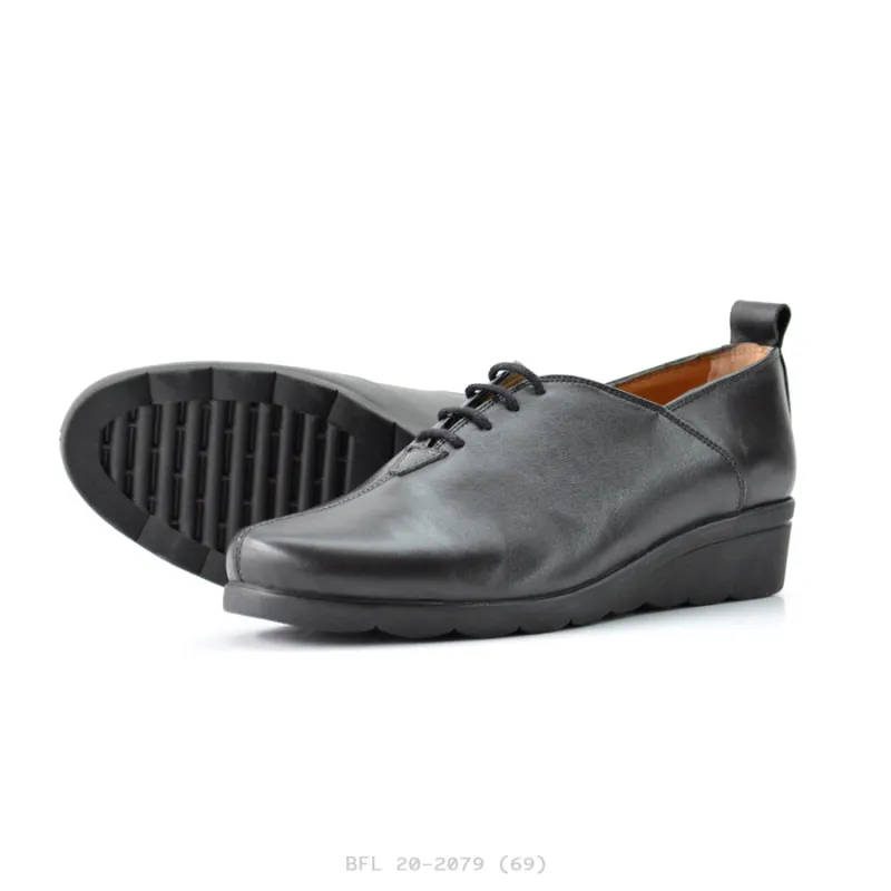 BFL 20-2079