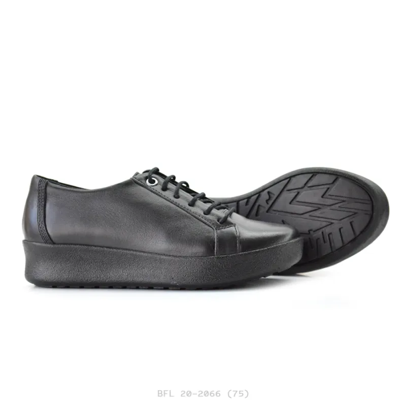 BFL 20-2066