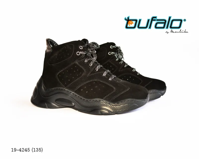 BFL 19-4245