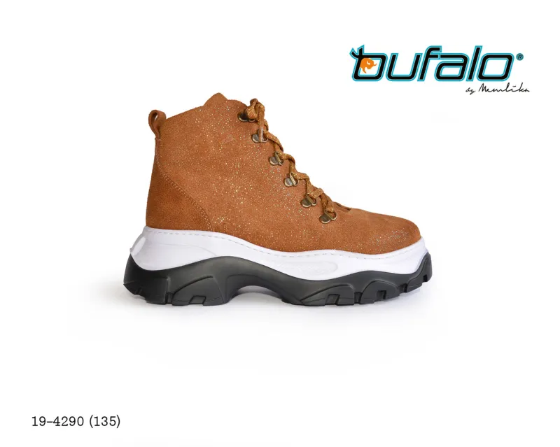 BFL 19-4290
