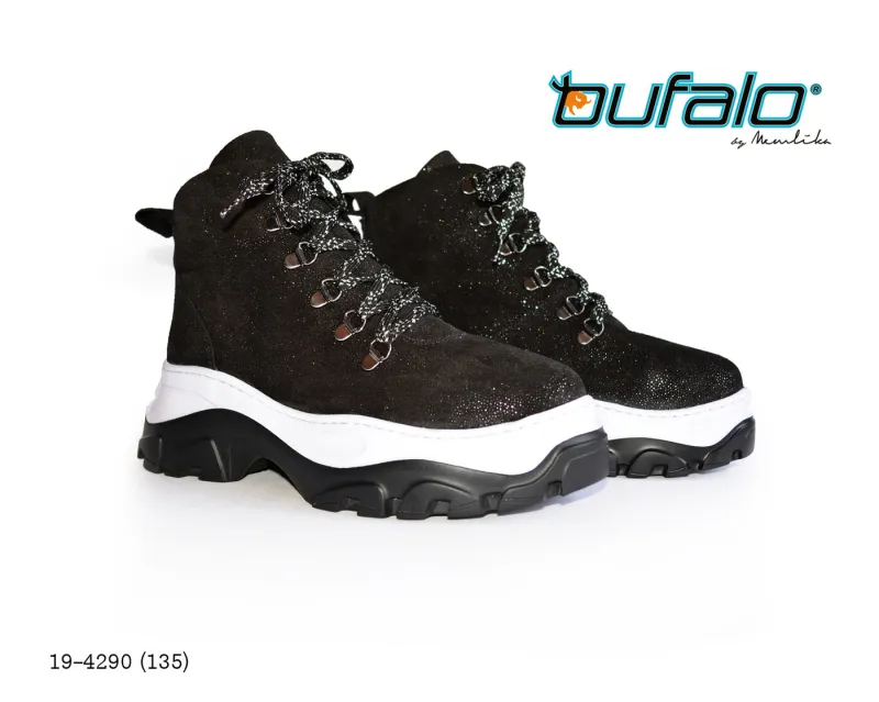 BFL 19-4290