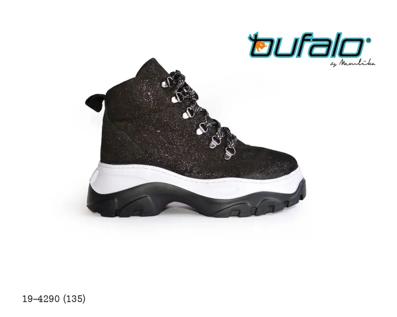 BFL 19-4290