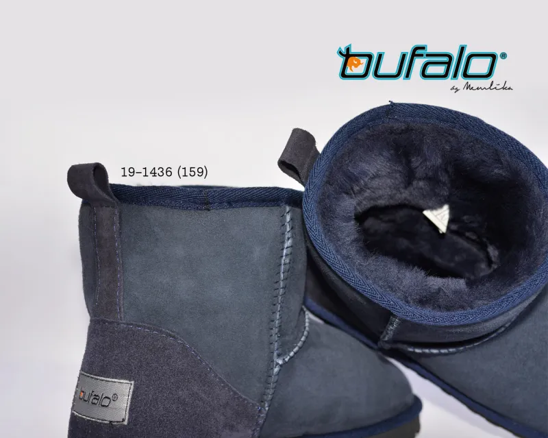 BFL 19-1436
