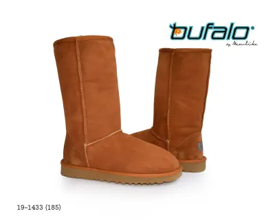 BFL 19-1433