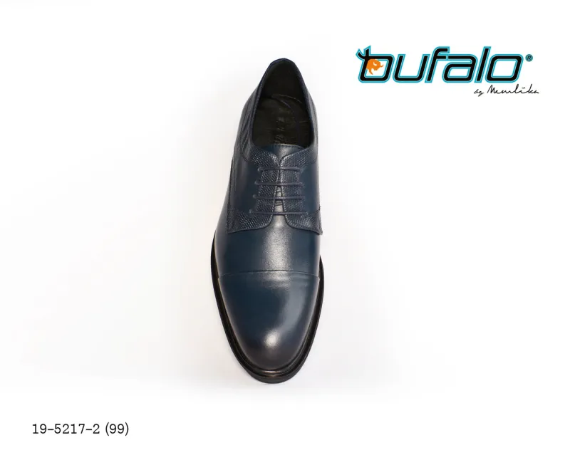 BFL 19-5217-2