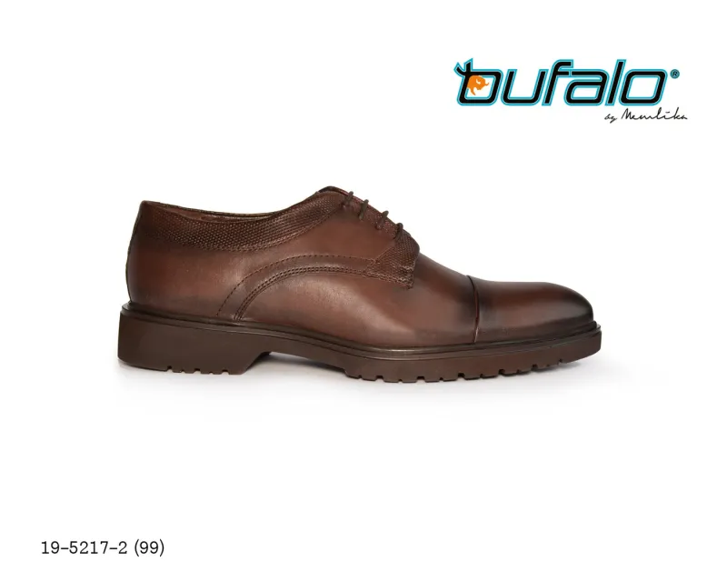 BFL 19-5217-2