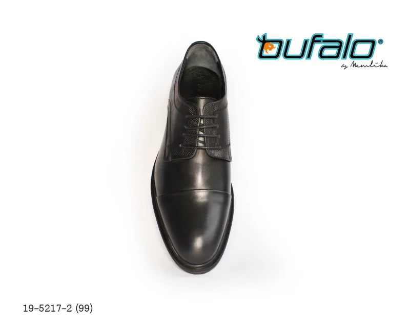 BFL 19-5217-2