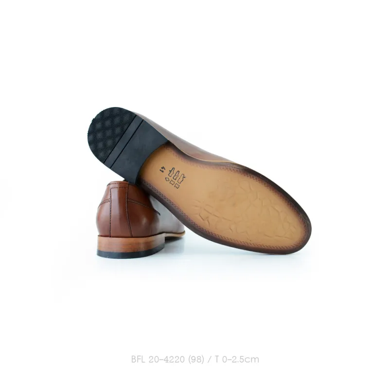 BFL 20-4220